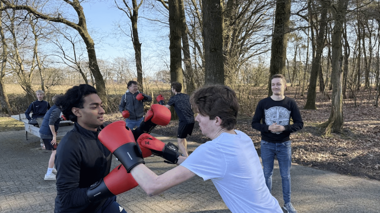 Boksen projectafbeelding